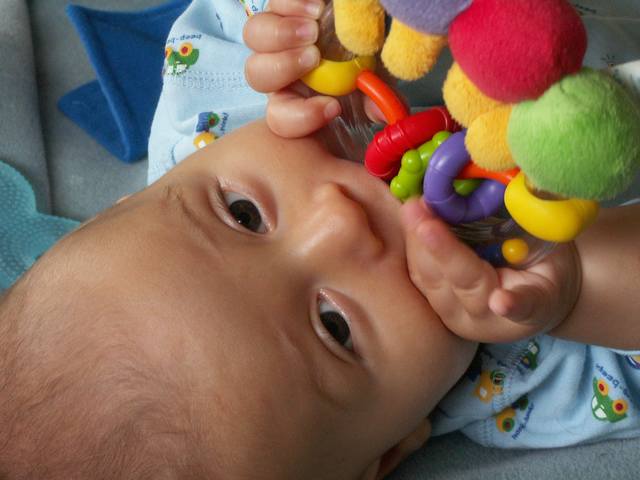 PICT0141.JPG  (33.6 Kb)