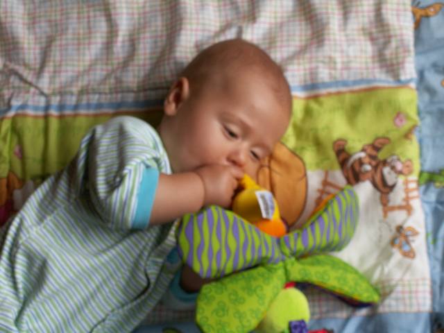 PICT0159.JPG  (36.6 Kb)