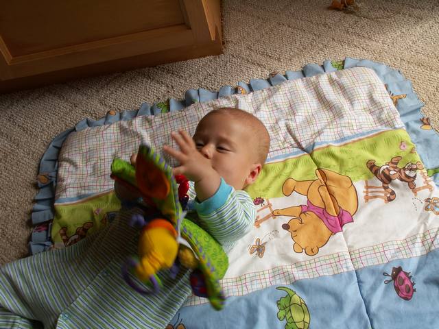 PICT0162.JPG  (59.1 Kb)