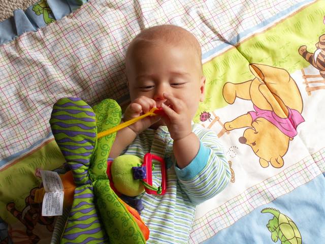 PICT0165.JPG  (62.0 Kb)