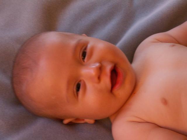 PICT0166.JPG  (21.2 Kb)