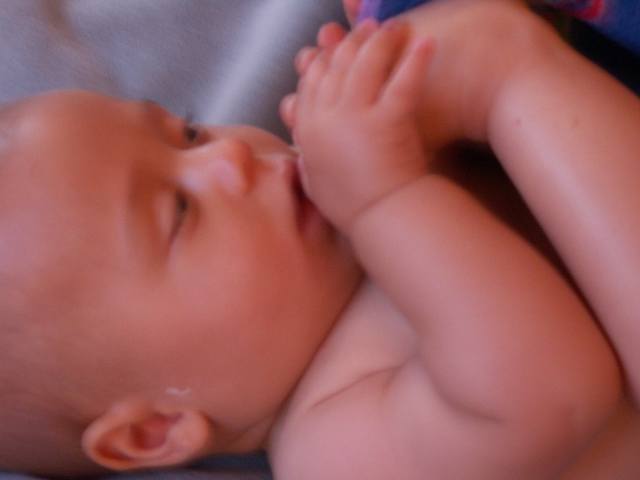 PICT0174.JPG  (16.9 Kb)