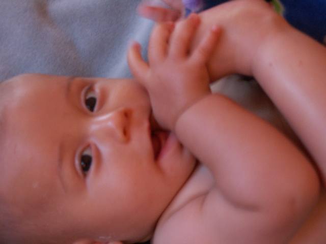 PICT0175.JPG  (18.3 Kb)