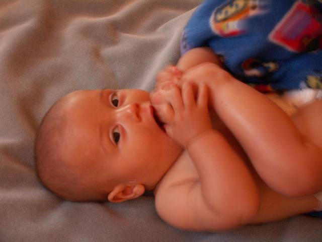 PICT0177.JPG  (24.4 Kb)