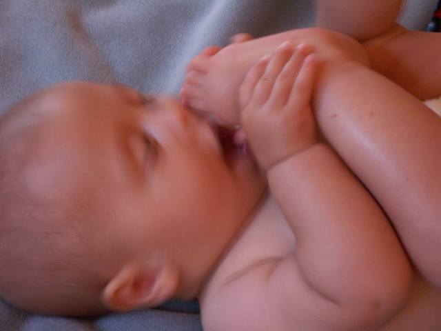 PICT0184.JPG  (19.8 Kb)