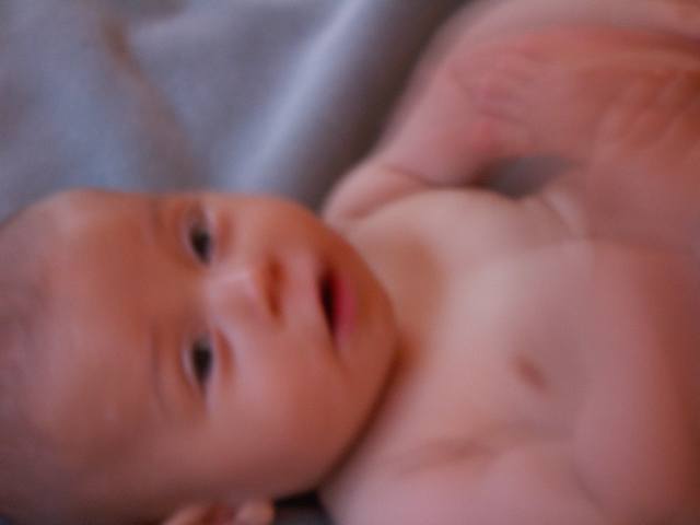 PICT0185.JPG  (14.3 Kb)