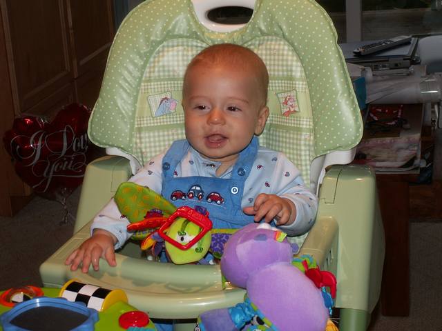 PICT0193.JPG  (42.4 Kb)