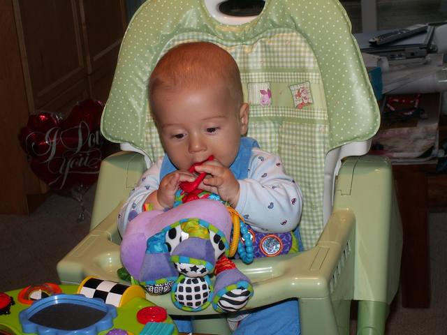 PICT0195.JPG  (42.6 Kb)