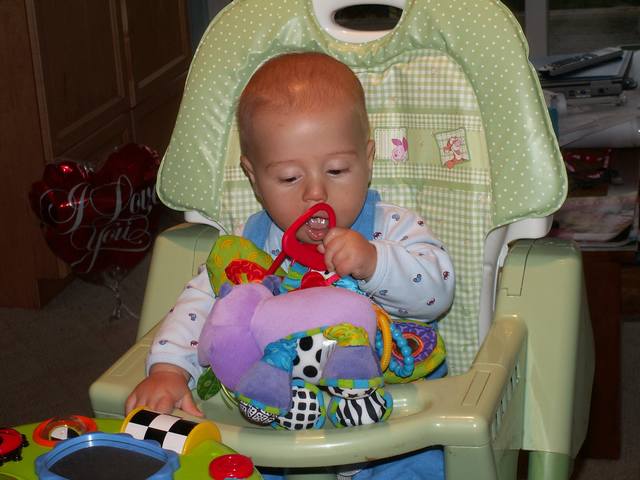 PICT0197.JPG  (42.0 Kb)