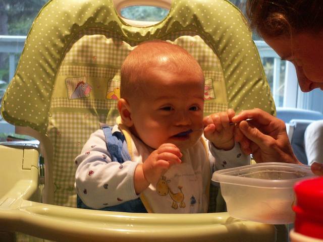 PICT0203.JPG  (43.4 Kb)