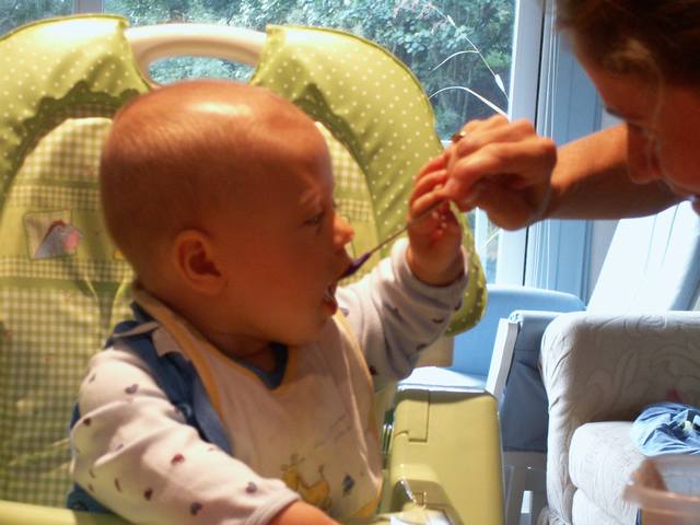 PICT0206.JPG  (39.4 Kb)