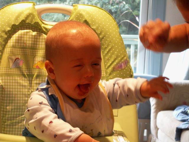 PICT0207.JPG  (40.4 Kb)