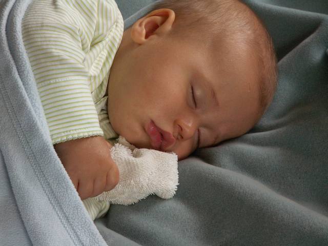 PICT0229.JPG  (36.4 Kb)