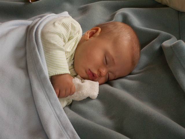 PICT0230.JPG  (31.5 Kb)