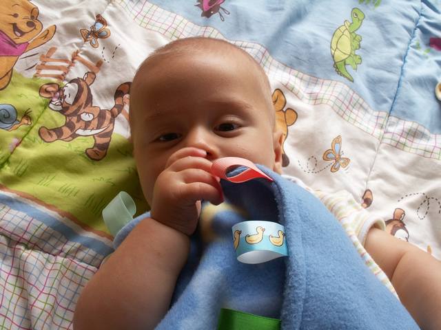 PICT0231.JPG  (47.2 Kb)