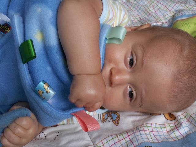 PICT0236.JPG  (36.6 Kb)