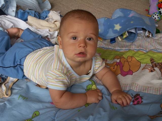 PICT0239.JPG  (44.4 Kb)