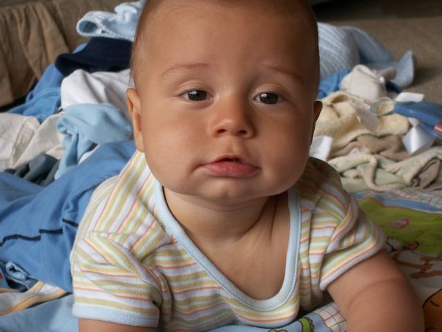 PICT0241.JPG  (36.4 Kb)