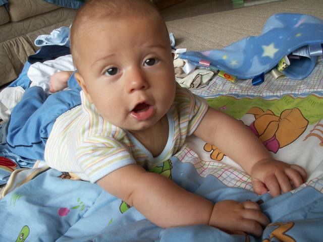 PICT0243.JPG  (43.3 Kb)