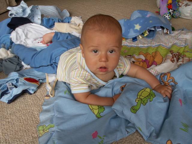 PICT0244.JPG  (47.0 Kb)