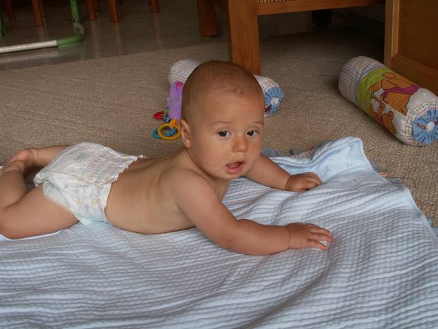 PICT0245.JPG  (40.7 Kb)