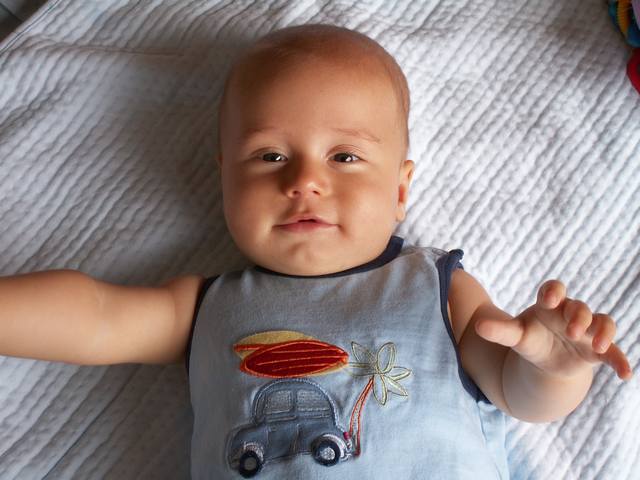 PICT0247.JPG  (40.3 Kb)