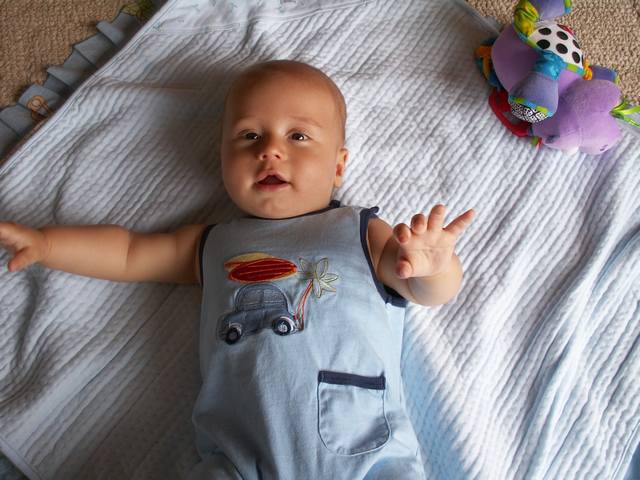 PICT0248.JPG  (49.4 Kb)