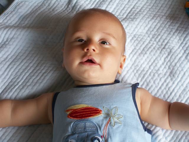 PICT0250.JPG  (38.6 Kb)