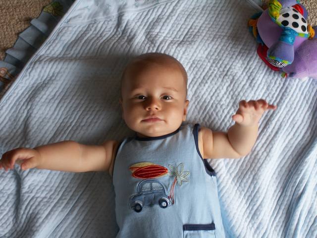 PICT0251.JPG  (48.2 Kb)