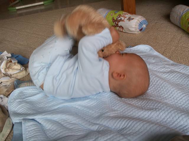 PICT0252.JPG  (39.5 Kb)