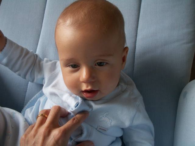 PICT0254.JPG  (26.1 Kb)