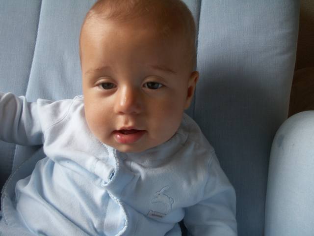 PICT0255.JPG  (24.3 Kb)