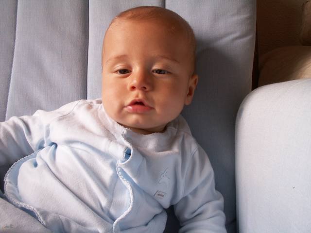 PICT0256.JPG  (27.7 Kb)