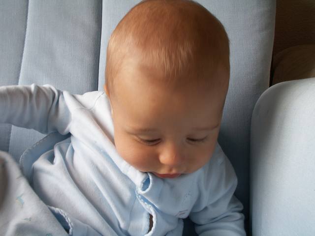 PICT0257.JPG  (26.2 Kb)