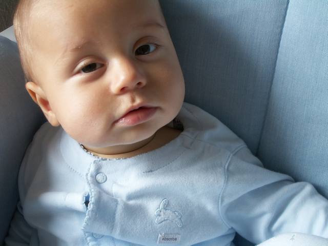 PICT0261.JPG  (28.0 Kb)