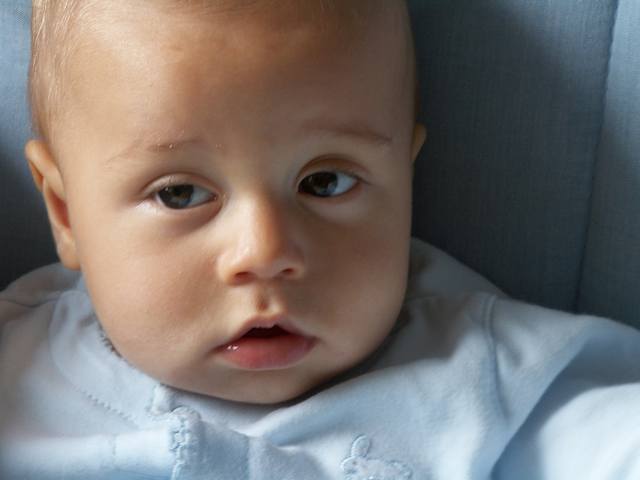 PICT0268.JPG  (22.4 Kb)