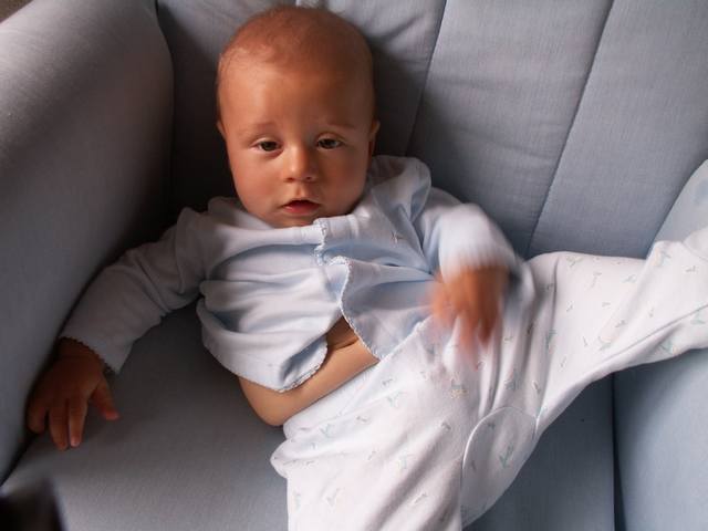 PICT0269.JPG  (26.2 Kb)