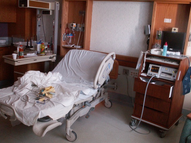 PICT0981.JPG  (89.2 Kb)