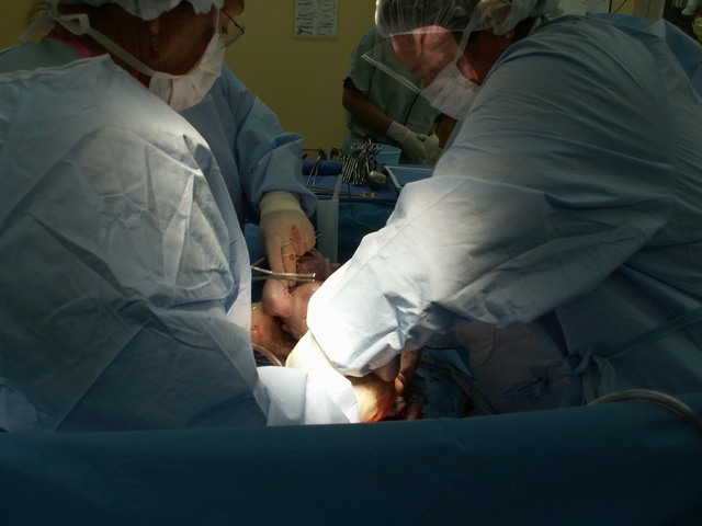 PICT0982.JPG  (53.8 Kb)