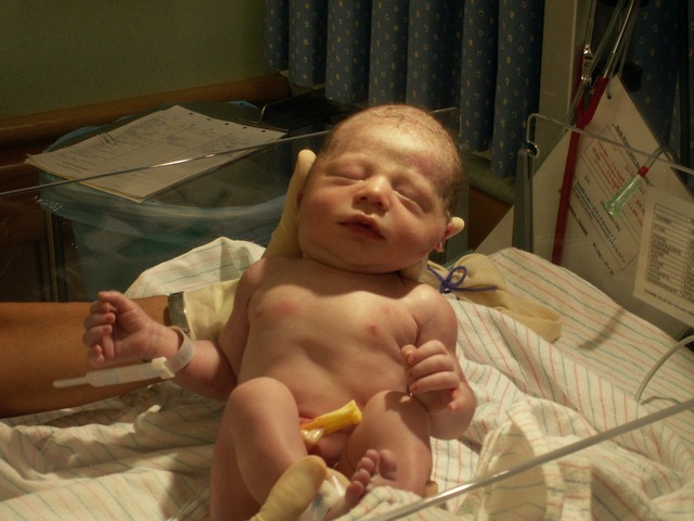 PICT0984.JPG  (72.3 Kb)