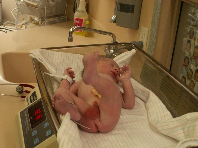 PICT0985.JPG  (71.5 Kb)