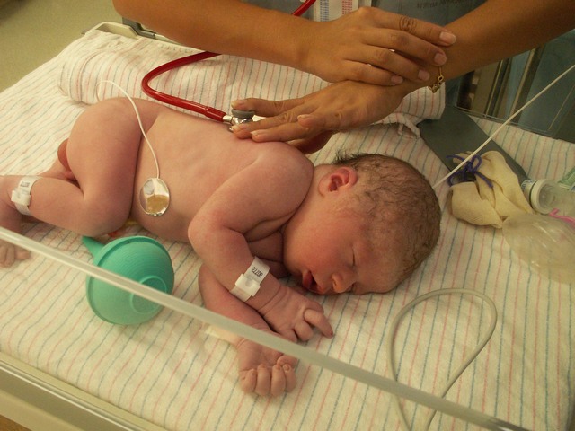 PICT0990.JPG  (79.3 Kb)