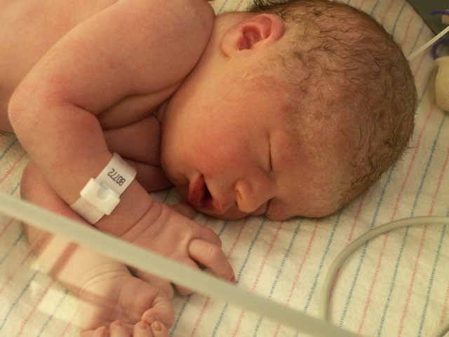 PICT0991.JPG  (68.0 Kb)