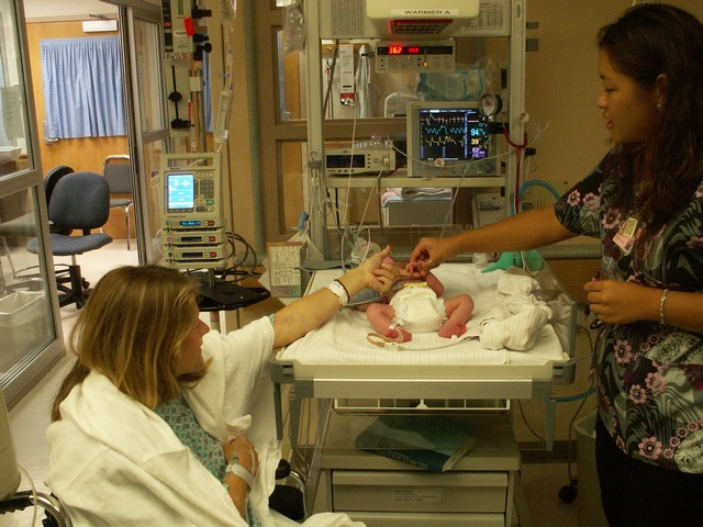 PICT0992.JPG  (99.0 Kb)