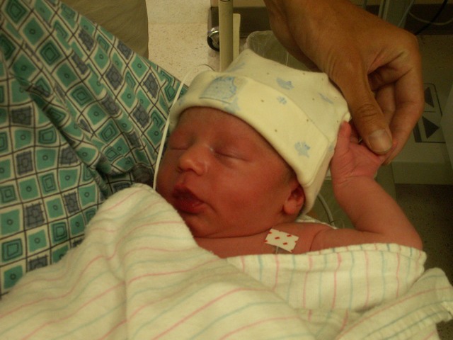 PICT1007.JPG  (68.3 Kb)