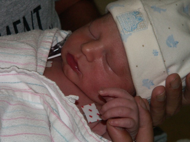 PICT1035.JPG  (67.6 Kb)