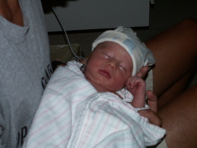 PICT1039.JPG  (50.7 Kb)