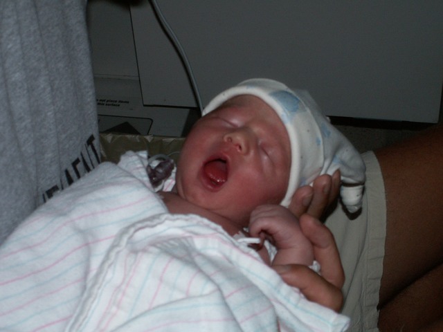 PICT1041.JPG  (51.2 Kb)