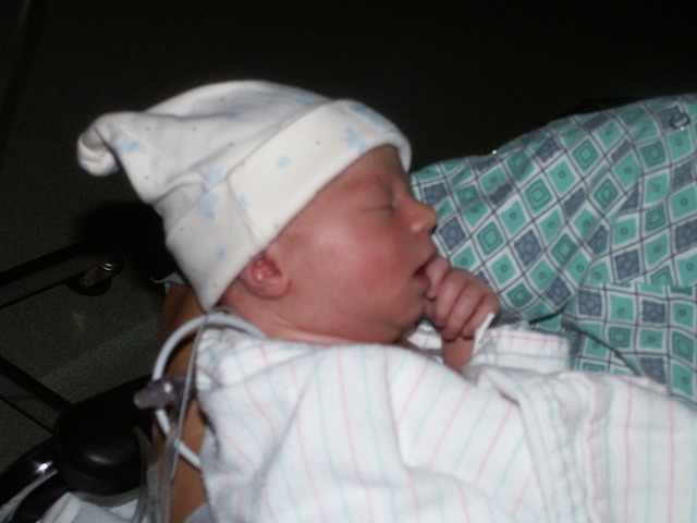 PICT1051.JPG  (53.4 Kb)