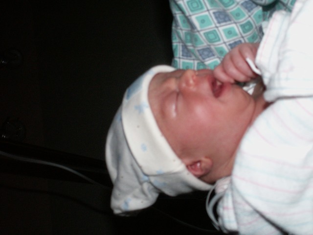 PICT1052.JPG  (41.8 Kb)